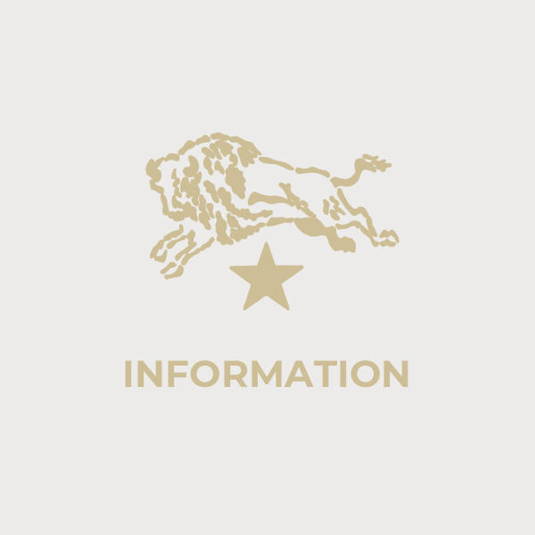 年末のプロモーション Il Bisonte イルビゾンテ Academiatlc Com 年末のプロモーション Il Bisonte イルビゾンテ Academiatlc Com